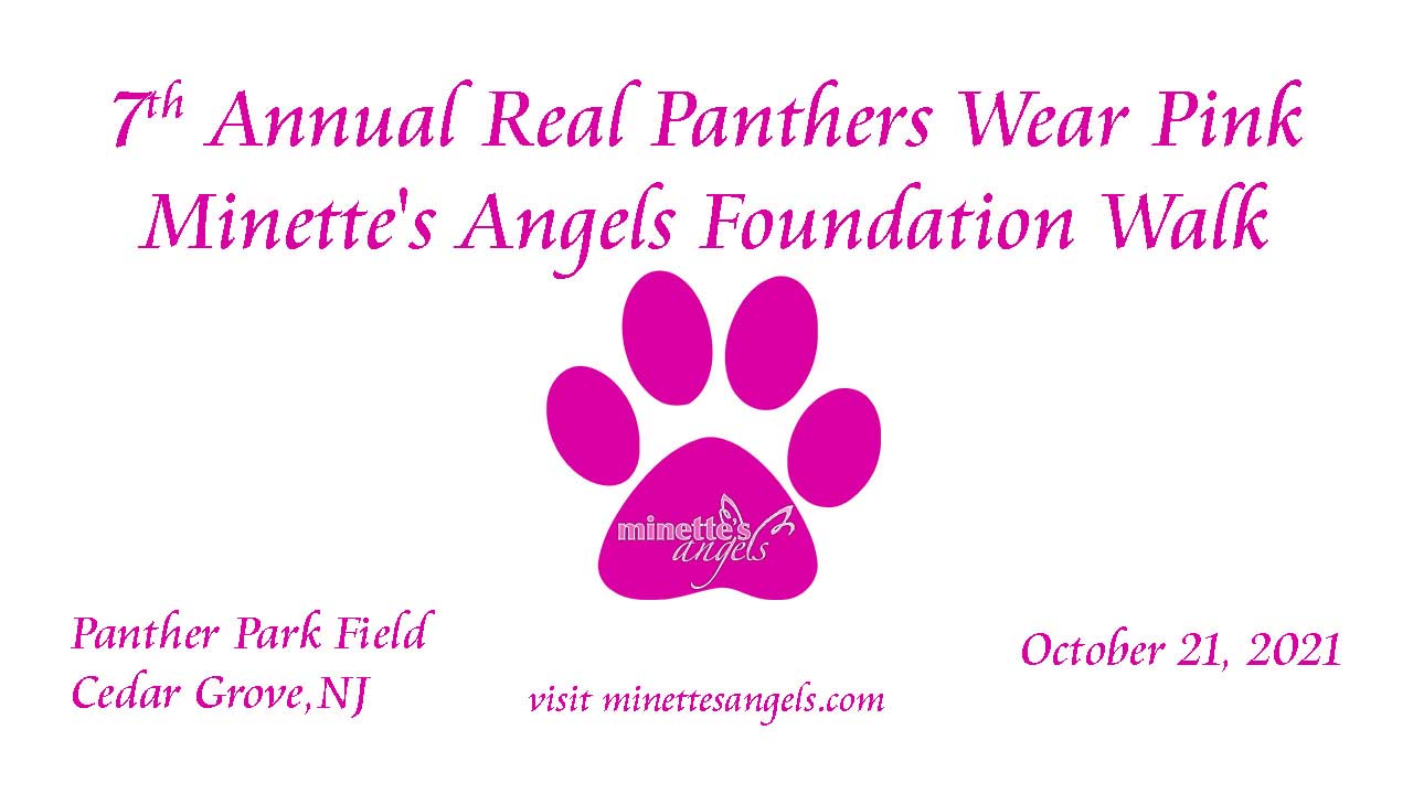 7th Annual Real Panthers Wear Pink Minette's Angels Foundation Walk
